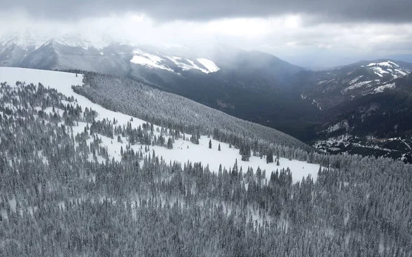 Parang Dağları 'nın karlı ormanlarında bulunan bir açıklığın hava manzarası. Vahşi kozalaklı ağaçlar dağlarda yetişiyor. Koyu gri bulutlar kar fırtınası başlatıyor. Carpathia, Romanya. 