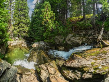 Büyük kayaların arasından akan bir dağ deresi kayalık bir kanyonda bir şelale oluşturur. Orada büyük kayalarla çevrili küçük bir gölet oluşturur. Parang Massif, Karpatlar, Romanya