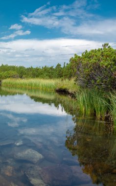 Mavi gökyüzü ve bulutlar Parang Dağları 'ndaki bir dağlık arazide bulunan buzul gölünün yüzeyine yansıyor. Kıyılarda bol miktarda ot ve dağ çam ağaçları yetişiyor. Carpathia, Romanya.
