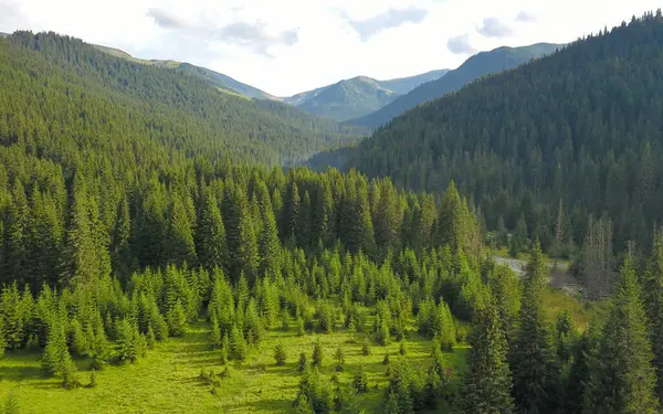 Lotru vadisinde insansız hava aracı görüntüsü. Lotru nehri yeşil çayırlarda vahşi kozalaklı ormanlar boyunca akıyor. Parang dağ zirveleri bulutlu gökyüzüne karşı aceleci davranıyor. Yağmurlu bir gün, Karpatya, Romanya