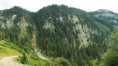 A road winding along rocky mountainsides with coniferous trees growing on it. A small stream forms a waterfall when flowing of the cliffs. Rodna Mountains, Carpathia, Romania. clipart
