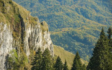 Buila Vanturarita Massif 'in kayalık tepesinin ayrıntıları. Dağın yamacında bulunan ladin ormanından keskin nasırlı uçurumlar yükseliyor. Sonbahar sezonu, Carpathia, Romanya. 