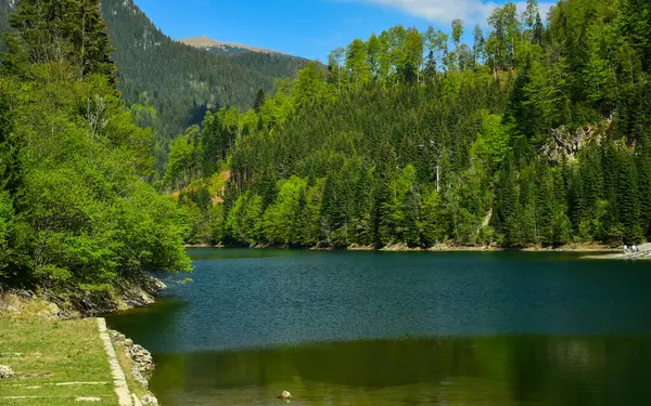Terk edilmiş beton bir temel, bir dağ gölü boyunca uzanan, kozalaklı ve kayın ormanlarıyla çevrili. İlkbahar, ağaçlar çiçek açıyor. Devasa dağ tepeleri arkasında belirir. 