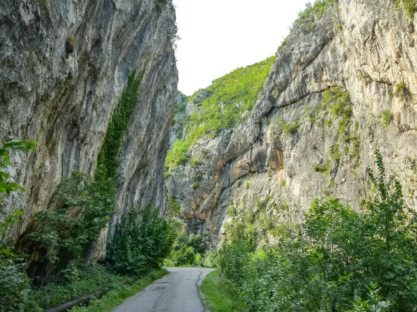 Dar bir kanyonda asfalt bir yol. Dikey, ani ve sarp kayalıkların yanında. Vadiler Romanya 'nın Carpathia kentinde yer alıyor. Bahar mevsimi, yeşil ağaçlar keskin uçurumlarda yetişiyor. Alacakaranlık.