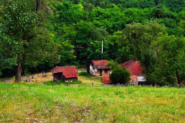 Rural Uma Antiga Casa Com Casas Ruínas Meio Natureza Exuberante — Fotografia de Stock