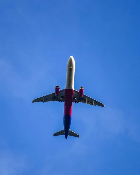 Airplane in flight. Airplane wheels prepared for landing. Red-blue colors of the fuselage and engine of the plane. View from the ground