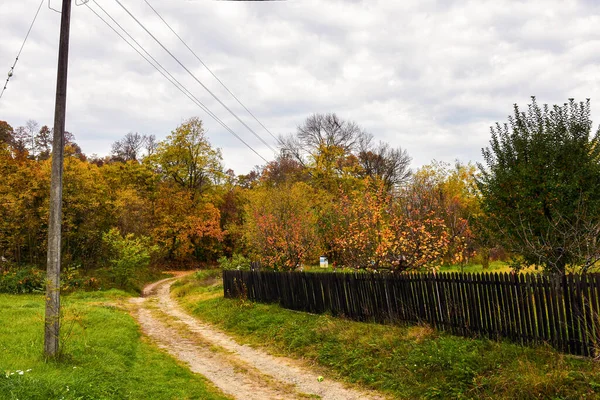 A country road next to a country yard surrounded by a wooden fence