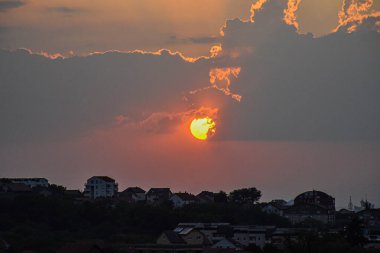Tuna 'nın bulanık sularında, bir martı sessizce yüzer. Nehrin durgunluğuna yakalanmış bir huzur anı.