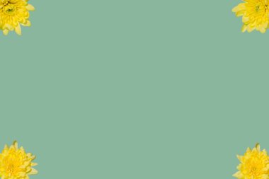 Frame of yellow spring flowers on a pastel background. Conceptual setting. Minimalism and art. Still life.