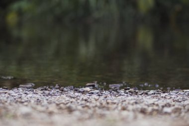 Stone and river at Utaradit, Thailand.
