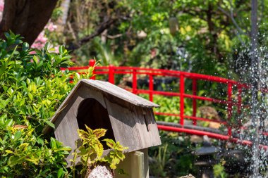 Doğal ve ahşap kuş yuvası