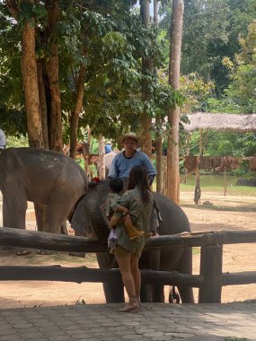 Tayland Fil Koruma Merkezi, Lampang, Tayland - 05 Eylül 2023: Aile ve fil 