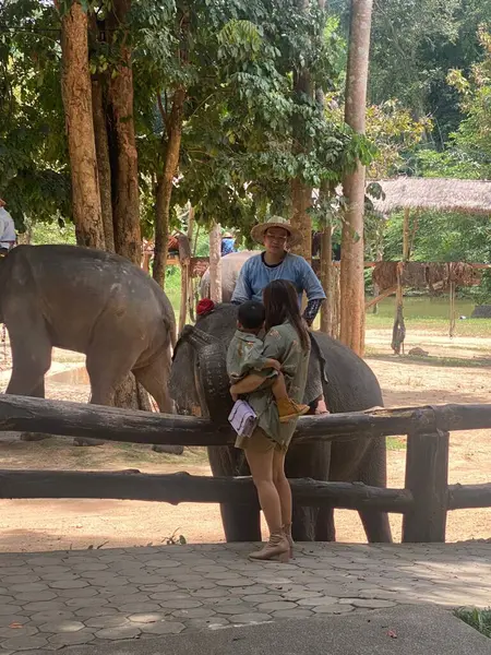 Thai Elephant Conservation Center Lampang Thailand September 2023 Familj Och — Stockfoto