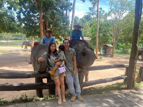 Thai Elephant Conservation Center Lampang Thailand September 2023 Familie Olifant — Stockfoto