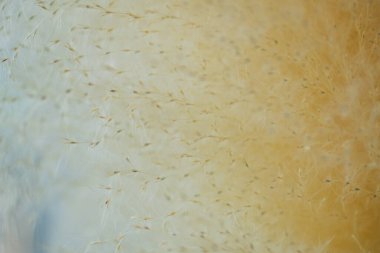 Soyut Dokulu Arkaplan Tasarım Projeleri için Mükemmel