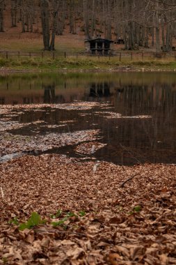 Cavone lake, Lizzano in belvedere, metropolitan city of Bologna, Emilia Romagna