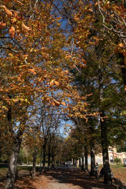 Ducal park of Modena, Emilia Romagna