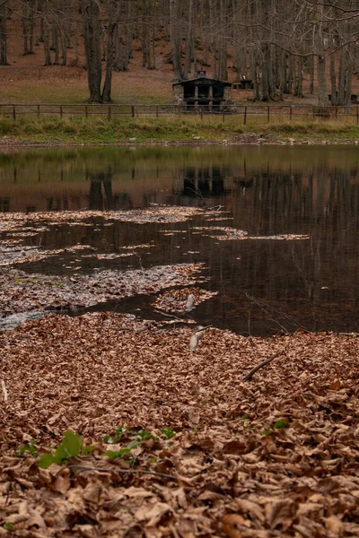 Cavone lake, Lizzano in belvedere, metropolitan city of Bologna, Emilia Romagna
