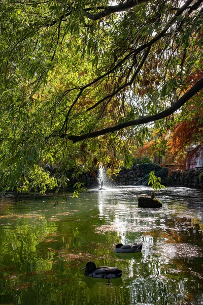 stock image Ducal park, city of Modena, Emilia Romagna