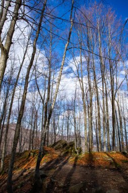 Tuscan Emilian Apennines, Dardagna şelaleleri, metropol şehri Bologna, Emilia Romagna