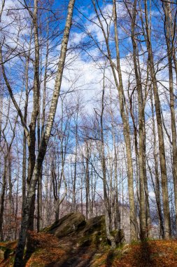 Tuscan Emilian Apennines, Dardagna şelaleleri, metropol şehri Bologna, Emilia Romagna