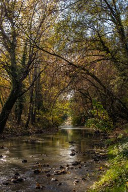 Cedar Park, San Lazzaro di Savena, metropol şehri Bologna, Emilia Romagna
