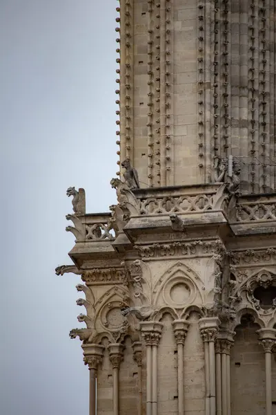 Notre Dame Cidade Paris França — Fotografia de Stock