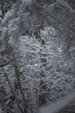 Karlı manzaralar, Raticosa geçidi, Toskana