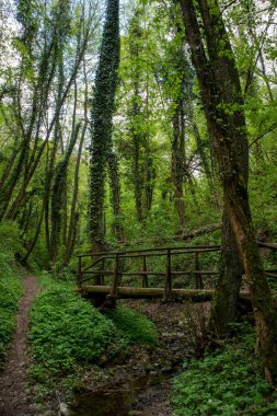 18 köprünün yolu, Sassi di Roccamalatina, Modena ili, Emilia Romagna