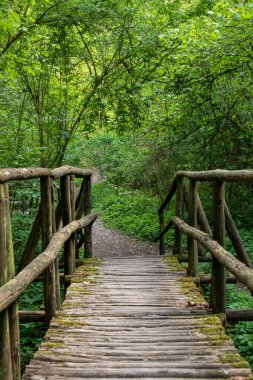 18 köprünün yolu, Sassi di Roccamalatina, Modena ili, Emilia Romagna