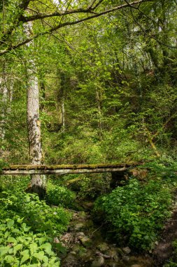 18 köprünün yolu, Sassi di Roccamalatina, Modena ili, Emilia Romagna