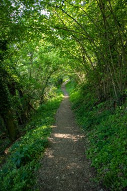18 köprünün yolu, Sassi di Roccamalatina, Modena ili, Emilia Romagna
