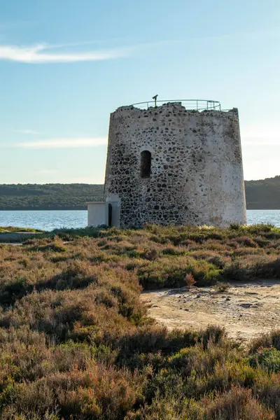 stock image Pond of Marcedd, province of Oristano, Sardinia