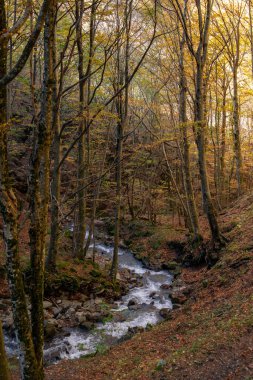 Madonna del Faggio Sığınağı, Porretta Terme, Bolonya ili, Emilia Romagna