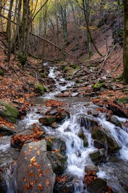 Madonna del Faggio Sığınağı, Porretta Terme, Bolonya ili, Emilia Romagna