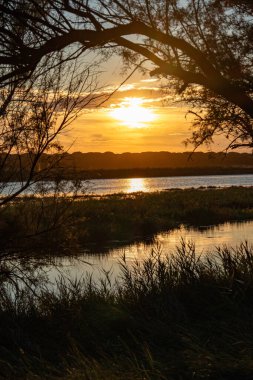 Anavatanın sunağı, Roma şehri, Lazio