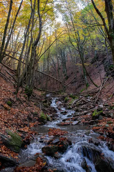 Madonna del Faggio Sığınağı, Porretta Terme, Bolonya ili, Emilia Romagna