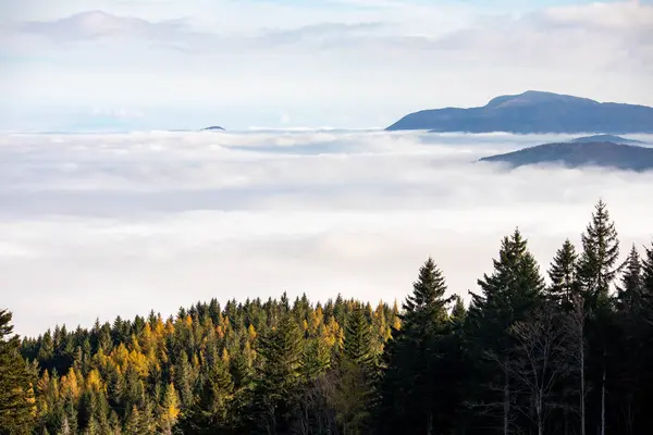 Cimone Dağı, Modena ili, Emilia Romagna
