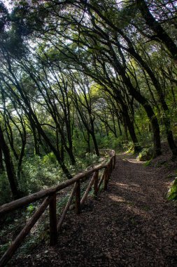 Aymerich Parkı, Laconi kasabası, Oristano ili, Sardunya