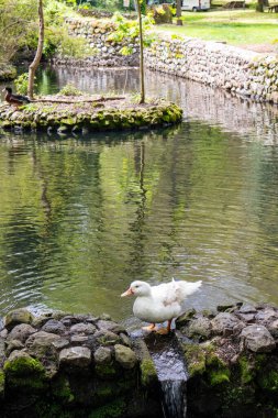 San Leonardo de Siete Fuentes, Oristano ili, Sardunya