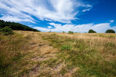 Campo Cecina 'nın manzarası