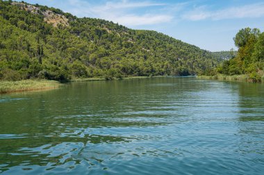 Krka River gracefully winding its way through a vibrant forest in Krka National Park, Croatia
