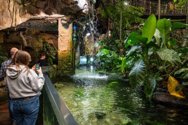 Göteborg, İsveç, Ocak 6, 2024. Universeum 'da bir grup ziyaretçi, bir şelalenin yemyeşil bir göle dökülüşünü izliyorlar..