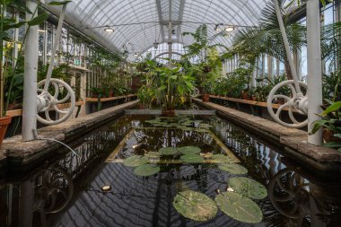 Göteborg Palmhouse, çevresindeki yeşillik ve mimari detayları yansıtan sakin bir gölet içeren tropikal bitkilerle doluydu..
