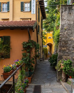 Varenna 'da, yemyeşil bitkiler ve saksıda çiçeklerle kaplı dar bir geçitten geçen taş bir patika.