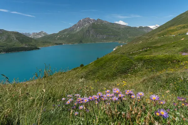Beautiful alpine landscape at Col du Mont Cenis during summer season, Savoie, France