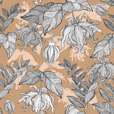 Ylang ylang çiçekleri ve yapraklarıyla kusursuz desen, vektör klipsleme sanatı, botanik çizimler.