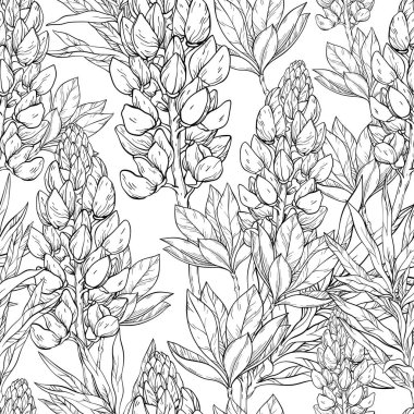 Çiçeksiz desen. Lupine çiçekleri ve yaprakları. Vektör çizimi. Dekorasyon için tekstil, ambalaj, duvar kağıdı. Siyah ve beyaz