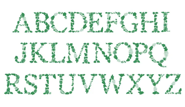 Lettertype Gemaakt Met Bladeren Letters Uit Het Bloemalfabet Vectorontwerp — Stockvector