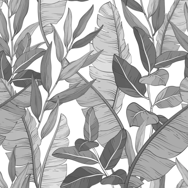 Florales Nahtloses Monochromes Muster Eukalyptus Und Bananenblätter Vektorillustration — Stockvektor